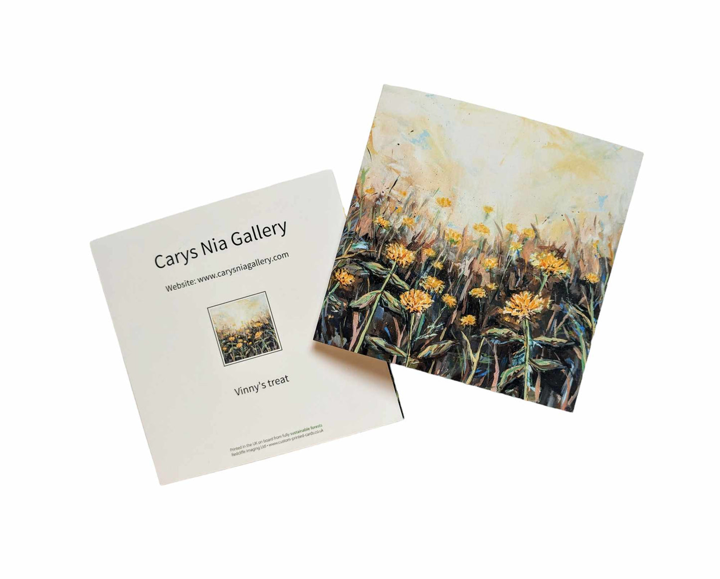 Greetings card - Vinny's treat
