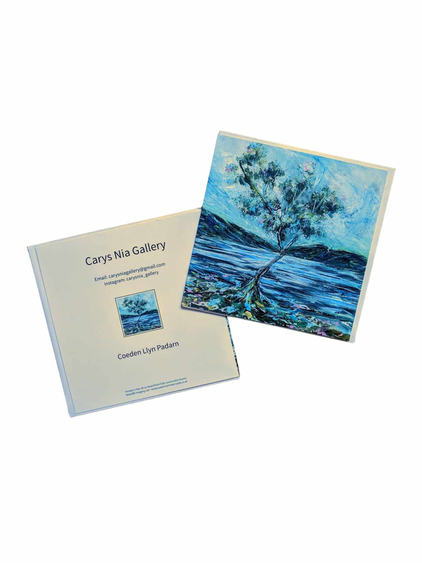 Greetings card - Coeden Llyn Padarn