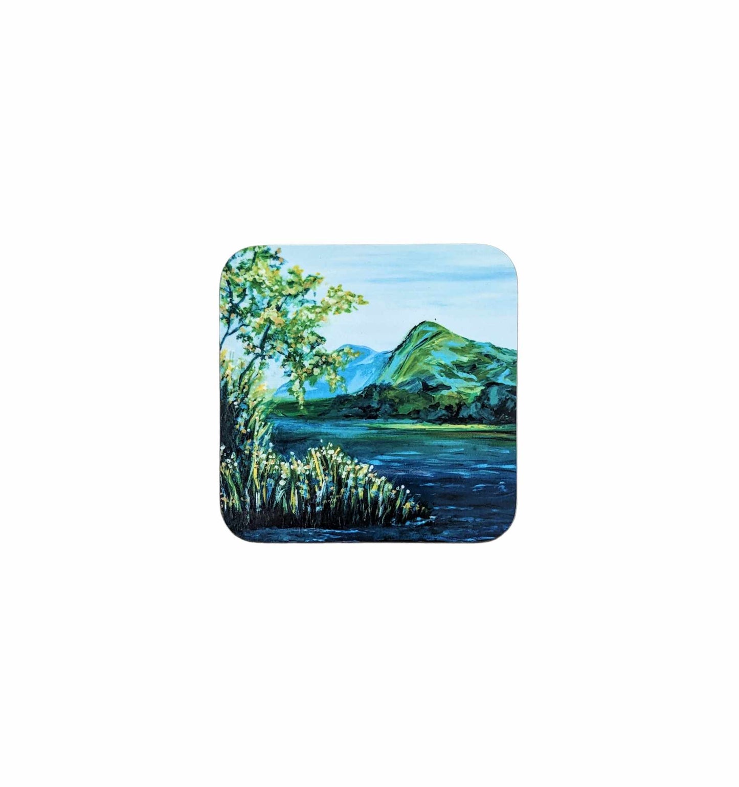 Coaster - On Llyn Padarn