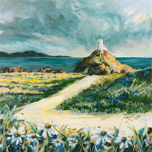 Print - Daisies At Llanddwyn